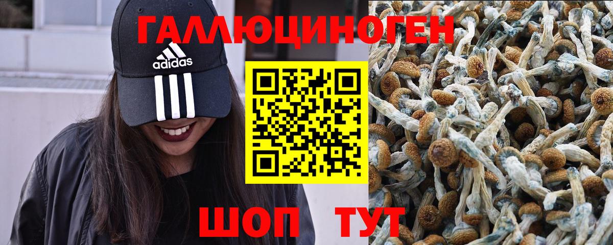 Иваново  Псилоцибиновые грибы Cubensis  купить наркотик  Вход с VPN 