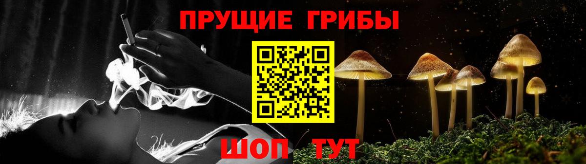 Псилоцибиновые грибы Psilocybine cubensis Иваново